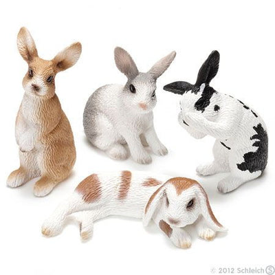 Miniature bunnies