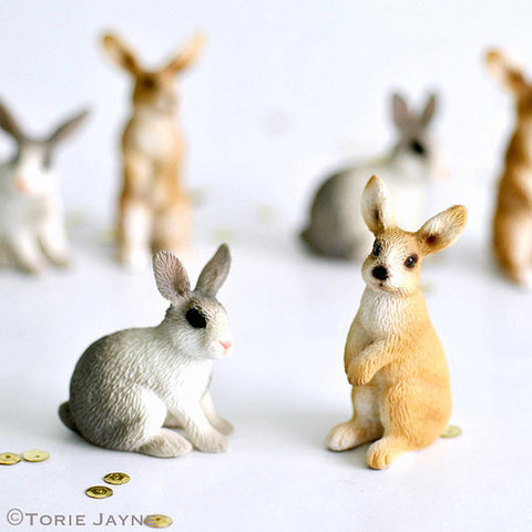 Miniature bunnies