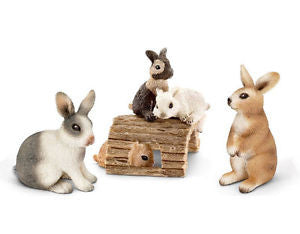 Miniature bunnies